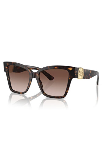 Dolce&Gabbana Dolce Gabbana Dg4470 502/13 54 Women's Sunglasses