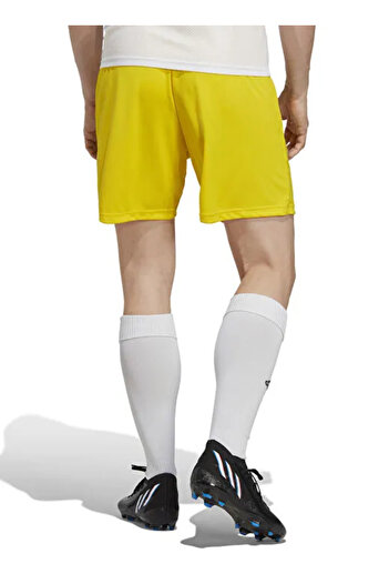 adidas Men's Yellow Shorts - Regular Waist, Fit IC7404 ENT22 SHO