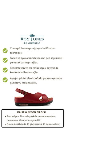 Roy Jones Kadın Ortopedik Şık Konfor Modeli Anatomik Rahat Taban Kısa Topuklu Günlük Sandalet Terlik