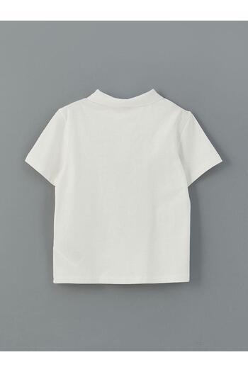 LC Waikiki Polo Neck Boy's Combed Cotton T-Shirt (S5)