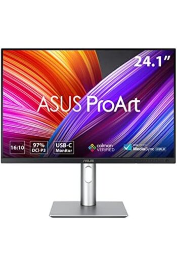 ASUS ProArt Display PA248CRV 24.1-inch Monitor