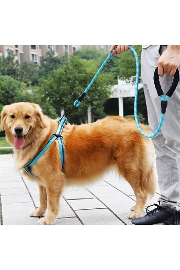 Tahtakale Toptancısı Buffer ®   Reflective Phosphorescent Dog Walking Rope Leash Strap with Metal Hook 130 cm