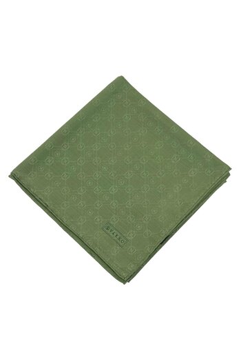 Vakko Cotton Silk Scarf - New Hologram - Linen Green