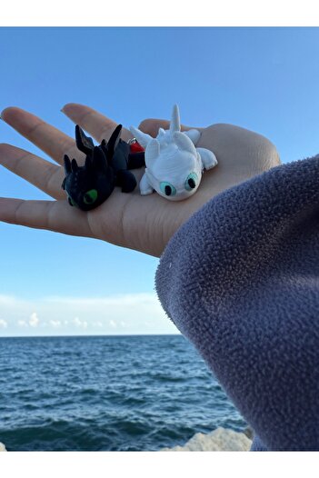 3dyonix Dragon Keychain – the Fury of Night and Light 3D Design |   How to Train Your Dragon Themed