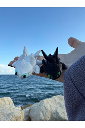 3dyonix Dragon Keychain – the Fury of Night and Light 3D Design |   How to Train Your Dragon Themed