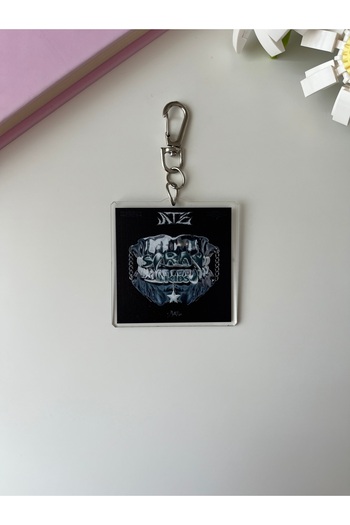 Hara Company Stray Kids Kpop Ate Album Keychain / Bag Charm