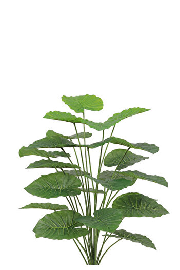 Generic Artificial Alocasia Heart Leaf Seedling in Round Plastic Pot