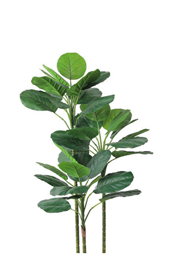 Generic Artificial Vius Umbellata Tree in a Plastic Cylinder Pot