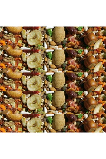 Manitoba Fruit Cocktail Food for Parrots - Manitoba 4kg