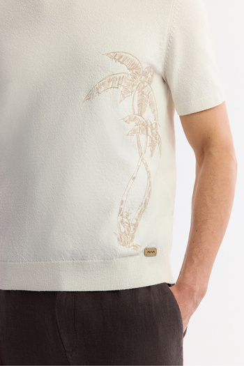Avva Men's Regular Fit Ecru Crew Neck Cotton Knit T-Shirt A51Y5012