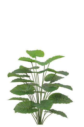Generic Artificial Alocasia Heart Leaf Seedling in Round Plastic Pot
