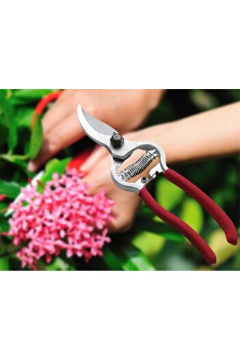 Toptan Bulurum Vineyard Shears Garden Shears