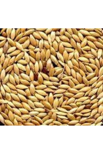 Manitoba Canary seeds 20 kg