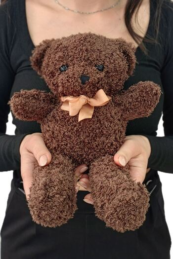 Chavin 30 cm Dark Brown Gift Plush Toy Teddy Bear Bear-01