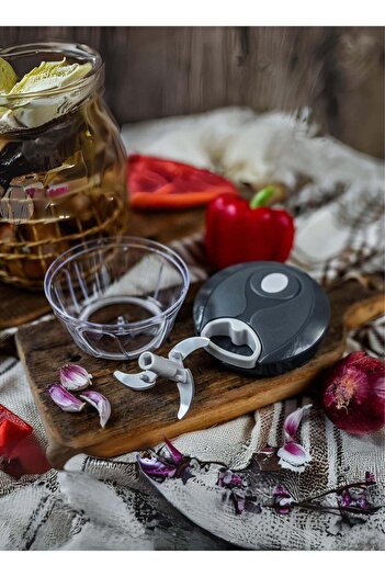 Denx Meat Grinder, Food Grinder, Fruit and Nuts Chopper and Blender