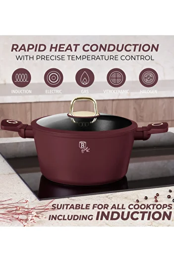 Berlinger Haus 10 Pcs Cookware Set Titanpro Nonstick, Induction, Pots Pans Leonardo Collection