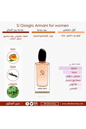 Giorgio Armani Armani Si for Women Eau de Parfum 100ml