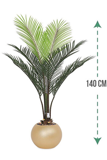 Generic Areca tree (7 branches) in a round plastic container