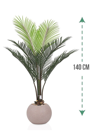 Generic Areca tree (7 branches) in a round plastic container