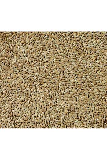 Deli Nature Canary Bird Seeds by Daily Nature - 5kg