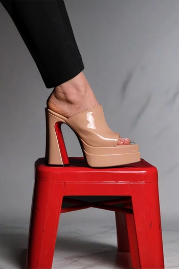 PayBuy Women Elegant Shoes Double Platform Closed Toe High Heeled Slippers Evening Dress Shoes