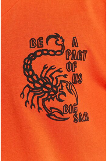 Big Sam Oversizet-Shirt Scorpion Rag Top Big Sam 3381