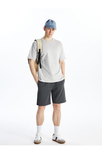 LC Waikiki Standard Fit Men's Shorts (S4)