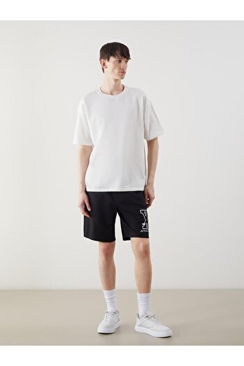 LC Waikiki Standard Fit Men's Shorts (S5)