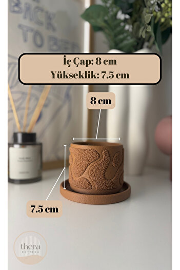 Thera Bottega Mossa Dekoratif Küçük Bitki/sukulent Saksısı - 7.5 Cm Yükseklik (BİTKİ DAHİL DEĞİLDİR.)