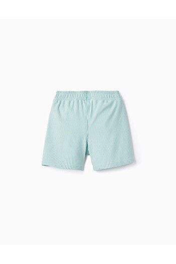 Ziddy Striped Swim Shorts for Boys, Green/White