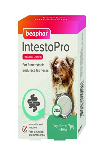 Beaphar Intestopro Anti-Diarrhea Tablets for Large Dogs, 20 Count