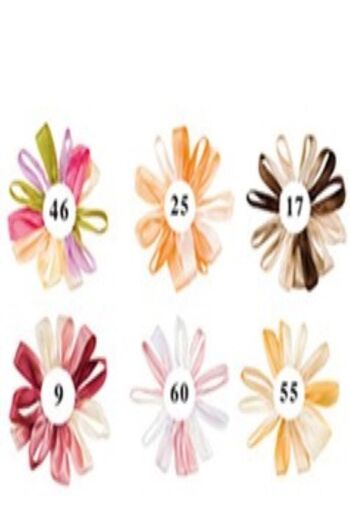 Majestik Κορδέλα Κέντημα Χεριών Tie Dye Silk 4mm. 8 μέτρα 21 εκατοστά. Χρώμα:17