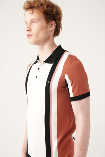 Avva Men's Brick Color Block Polo Collar Knitwear T-Shirt A31Y5013
