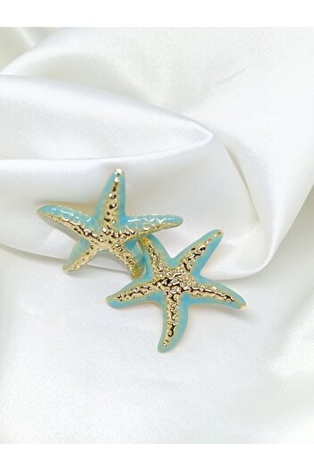 Store Design Sea Star Steel Earrings