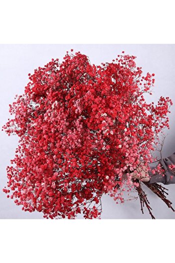 yapay çiçek evi Dry Flower Natural Red Cipso 45 Grams 1St Quality Is Not Corrupted by Shock