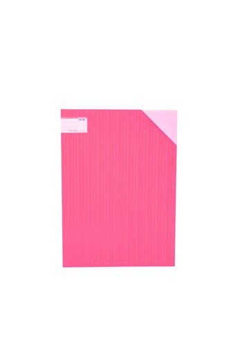 Generic Multi-colored plastic file for storing and preserving papers