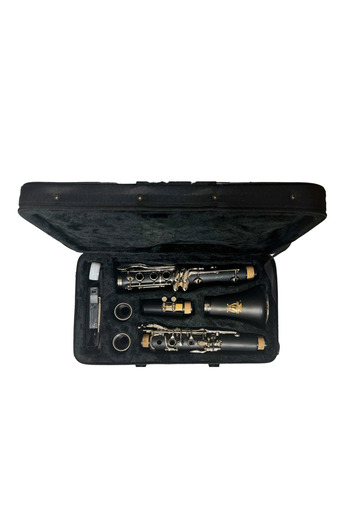 Parrot Parrot 7401N B-flat clarinet 17 keys and 6 rings