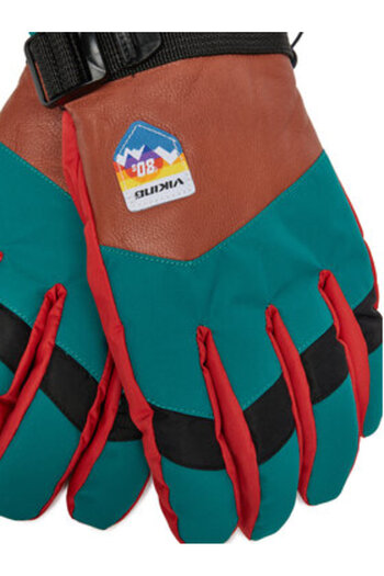 Viking men's ski gloves 110/24/6226/9989 colorful