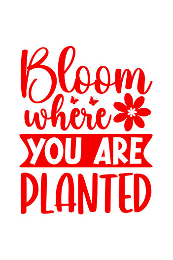 StoryGift Romania Sticker Exterior cu floare si fluturi cu mesajul "Bloom where you are planted" - inflorest
