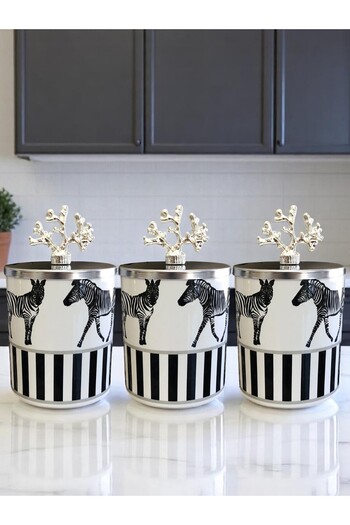 ferayhome Spice Cylinder Set of 3 Coffee Corner Zebra Horse Patterned 750 ml Coral Silver - Feray Home
