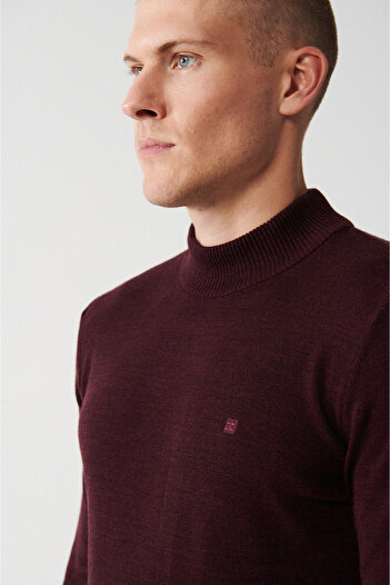 Avva Men's Burgundy Half Turtleneck Non-Pilling Knitwear Sweater E 005001