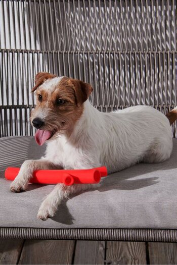 Tchibo Exercising Branch Dog Toy, Red
