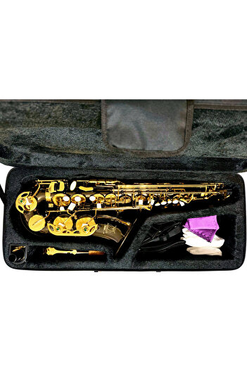 Parrot Alto saxophone, Parrot 6430BN, E flat, Black, gold keys