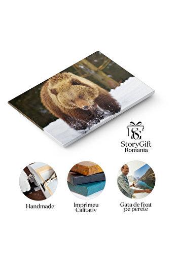 StoryGift Romania Canvas Painting 40 x 25CM - Discoveries in the forest: brown bear cubs exploring the world, the first STG sal