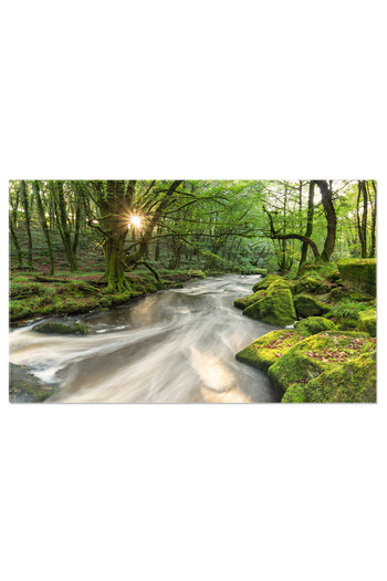 StoryGift Romania Tablou Canvas Padurea Magica, Valea Golitha, Raul Fowey, Cascada, Moss, Peisaj, Natura, Lichen