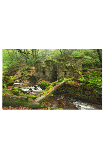 StoryGift Romania Tablou Canvas Valea Kennall In Cornwall, Rezervatie Naturala, Padure, Cascade, Rau, Peisaj 2581