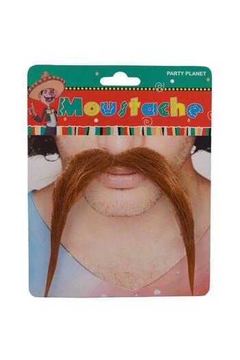 Flippy False Mustache for Disguises, Flippy, Thematic Parties, Canvas, Self-Adhesive, 10 x 15 cm, Reddish-B
