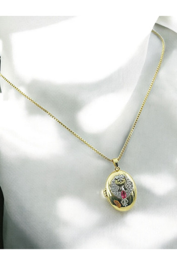naaksesuar Ankakuşu Alya Necklace Gold Colored Steel Cover Necklace