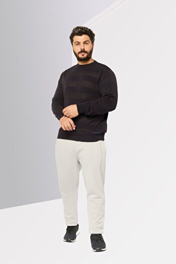 Scuderia Ferrari Men Crew Neck Plain Sweatshirt, Navy Blue