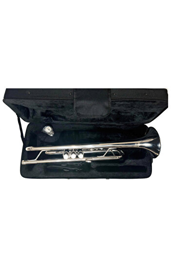 Parrot Trumpet B-flat Parrot 6416S, silver